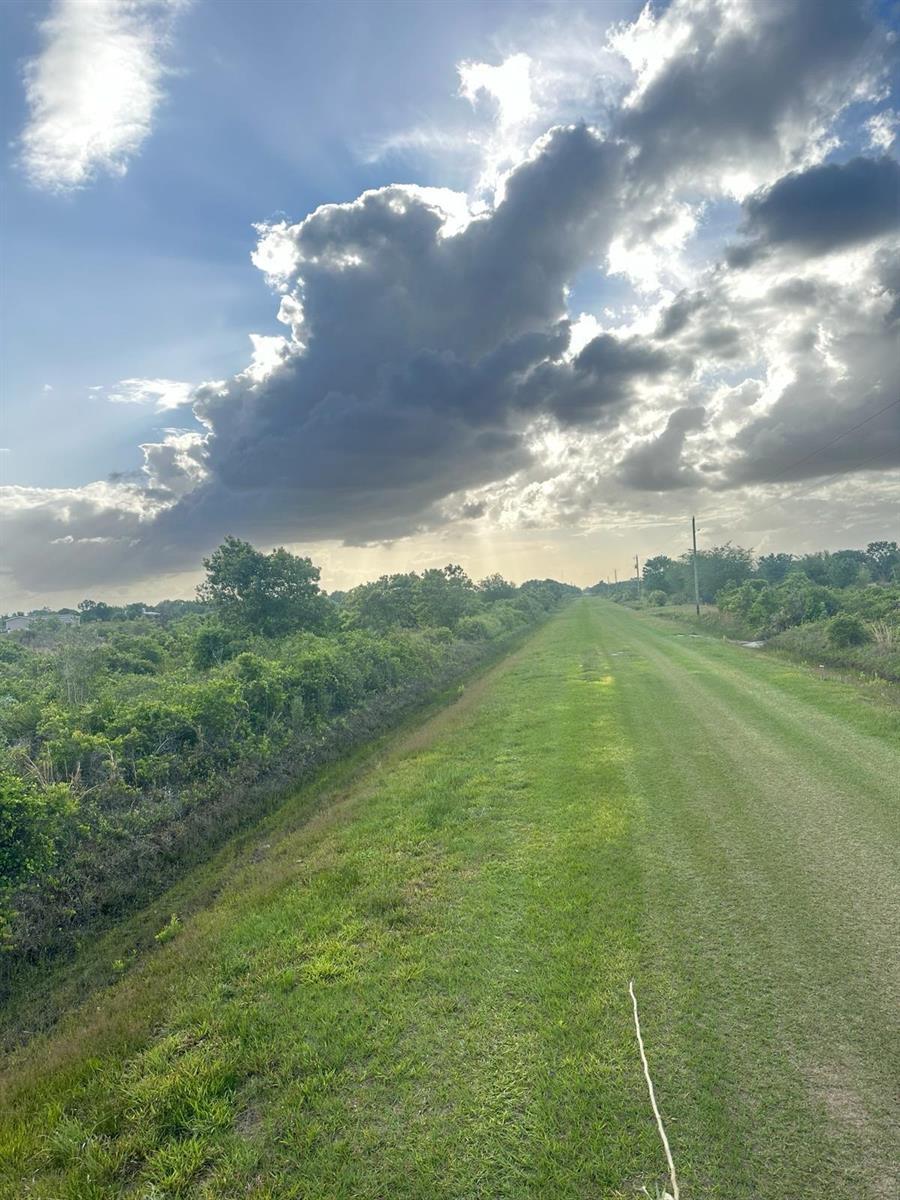 A grassy path stretches between a dense line of trees and a bright, cloudy sky — 16220 NW 264th Street, Okeechobee FL 34972, OKEECHOBEE, FL