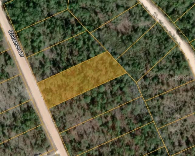 An aerial map view shows a highlighted rectangular plot of land bordering a dirt road — CINNAMON DRIVE, MARIANNA, FL