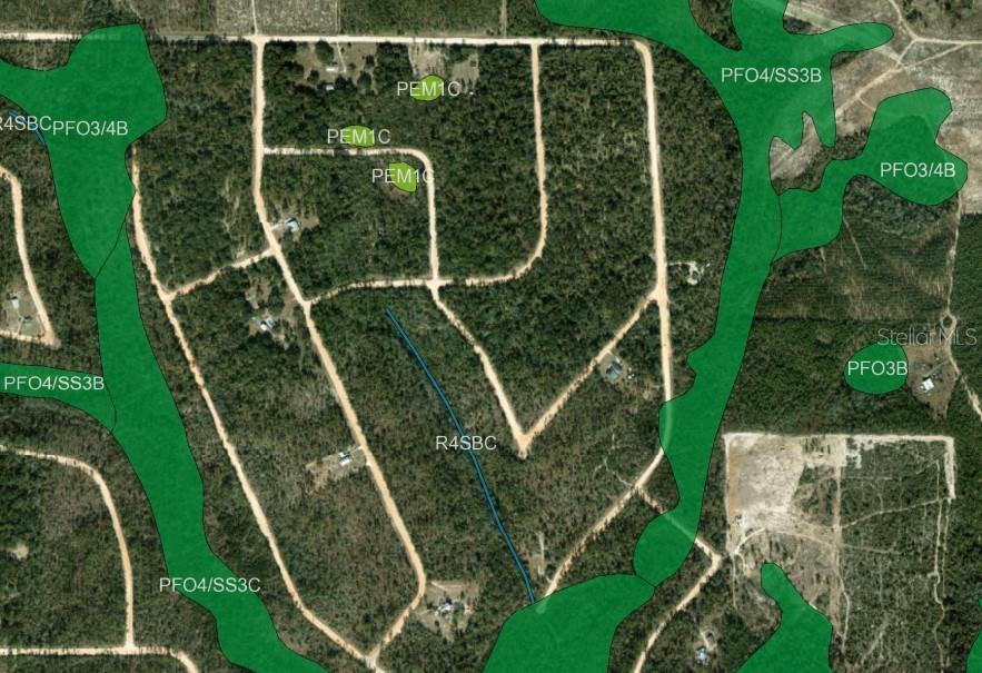 This is a map showing property boundaries overlaid with wetland classification codes on an aerial view — CINNAMON DRIVE, MARIANNA, FL