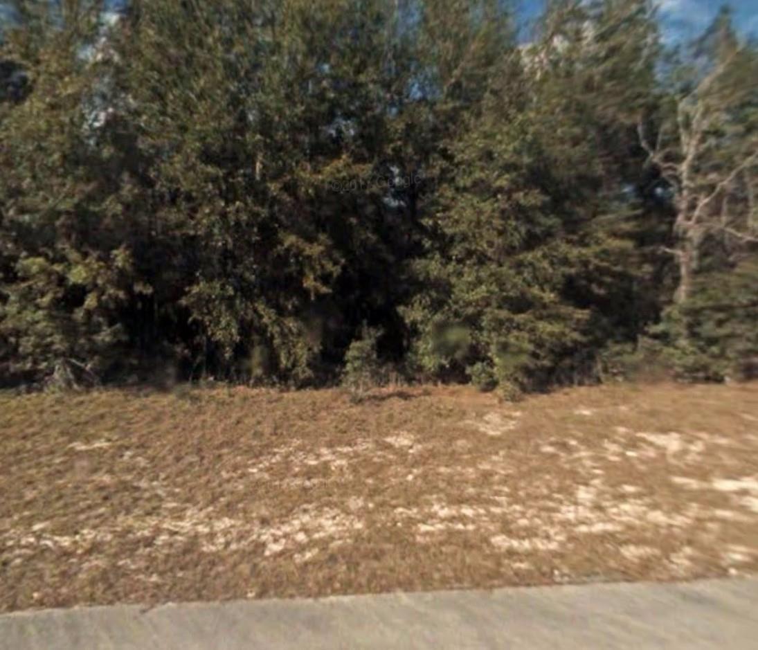 A vacant, grassy lot is bordered by a dense line of mature trees — Lot 5 138 Lane, Ocala FL 34473, OCALA, FL