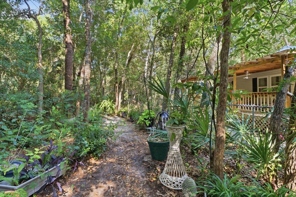 A dirt path leads through a wooded area toward a house with a wooden porch — 6845 W JACKSON LANE, HOMOSASSA, FL