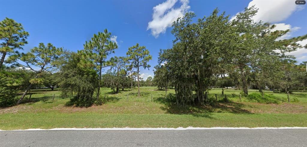 A grassy, tree-filled vacant lot is viewed from the edge of a paved road — TIGER LAKE RD, LAKE WALES, FL