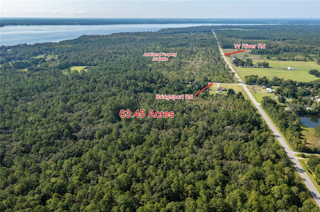 An aerial view shows a large wooded plot of land bordering a paved road — 130 BRIDGEPORT ROAD, PALATKA, FL
