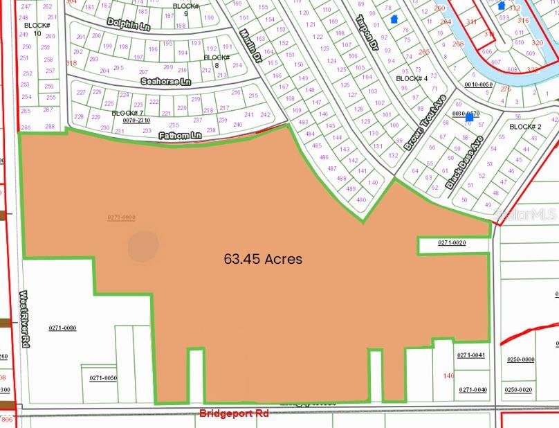 This is a land parcel map showing a 63.45-acre property outlined in green — 130 BRIDGEPORT ROAD, PALATKA, FL