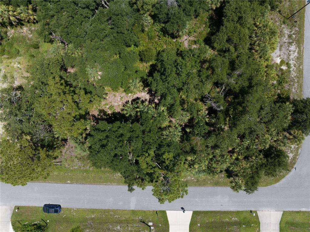 An aerial view shows a wooded, undeveloped residential lot situated along a paved road — POMONA AVENUE, NORTH PORT, FL