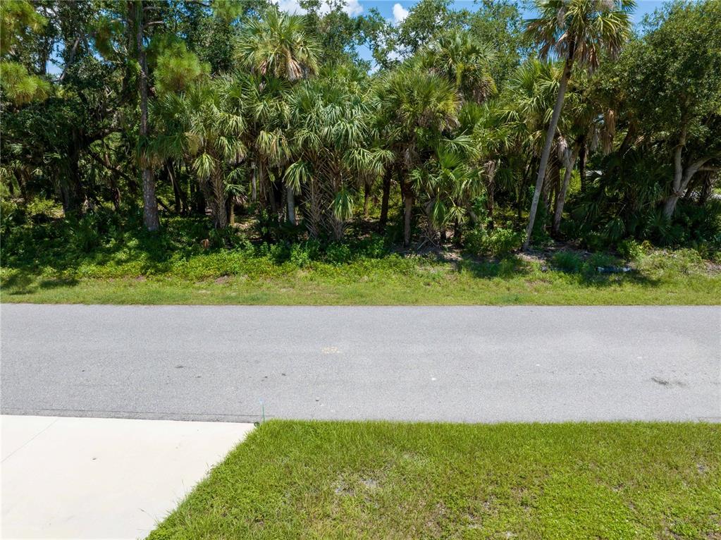 A paved road runs in front of a wooded lot filled with palm trees — POMONA AVENUE, NORTH PORT, FL