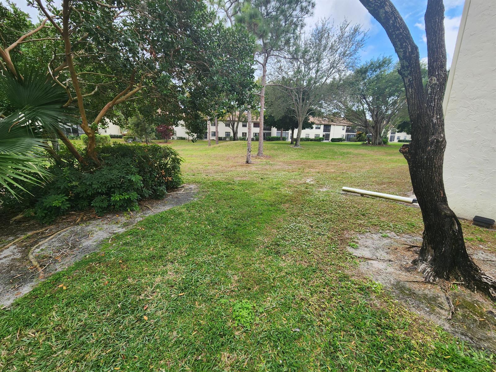 A grassy lawn sits between a residential building and a cluster of trees — 3345 Lucerne Park Drive, FL 33467, FL