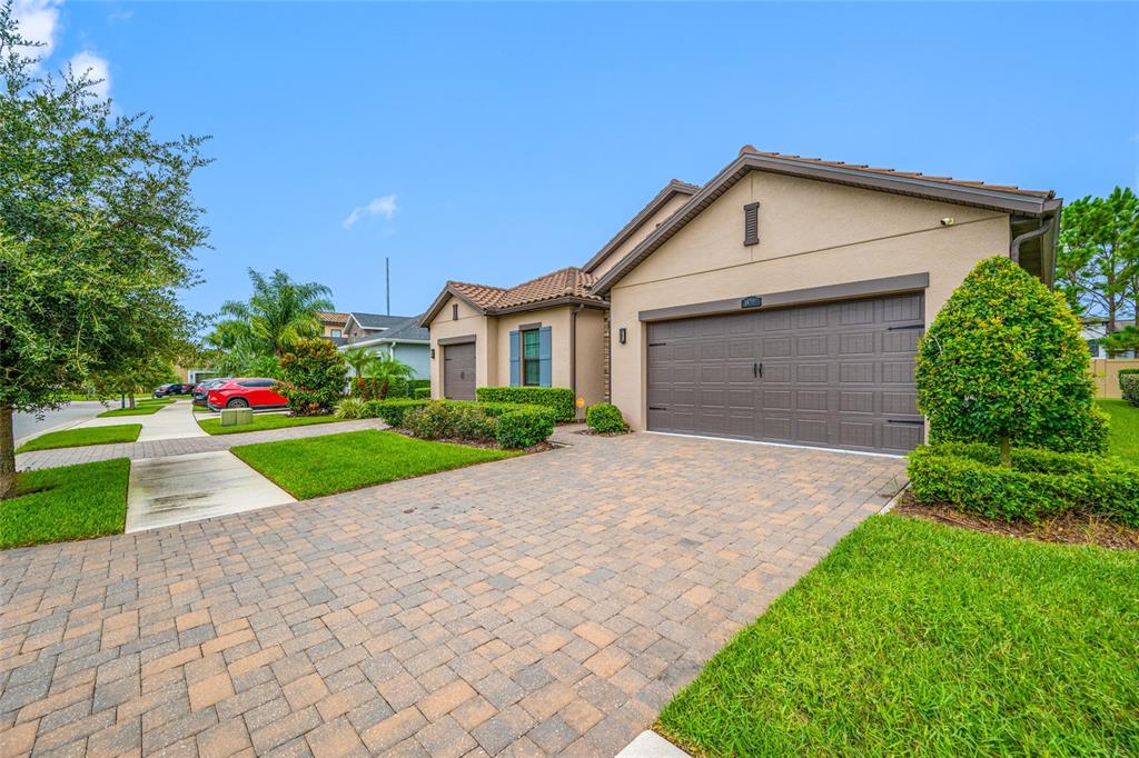 A single-story house with a paved driveway, a two-car garage, and a manicured front lawn — 18308 LEAFMORE STREET, LUTZ, FL