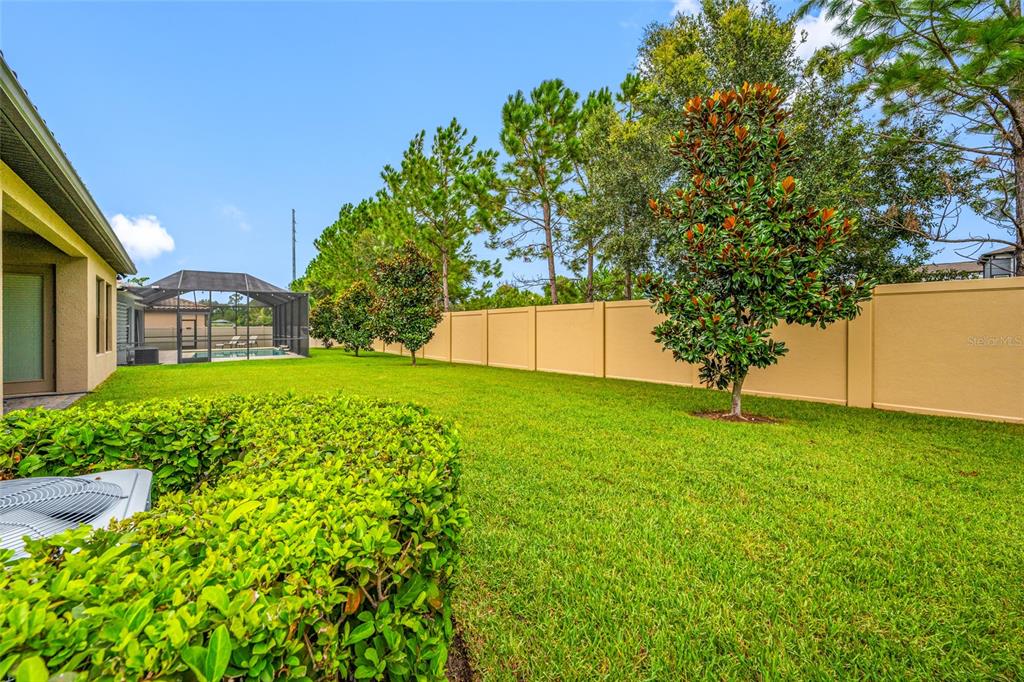 A grassy backyard features a screened-in pool enclosure, a tan privacy fence, and several trees — 18308 LEAFMORE STREET, LUTZ, FL