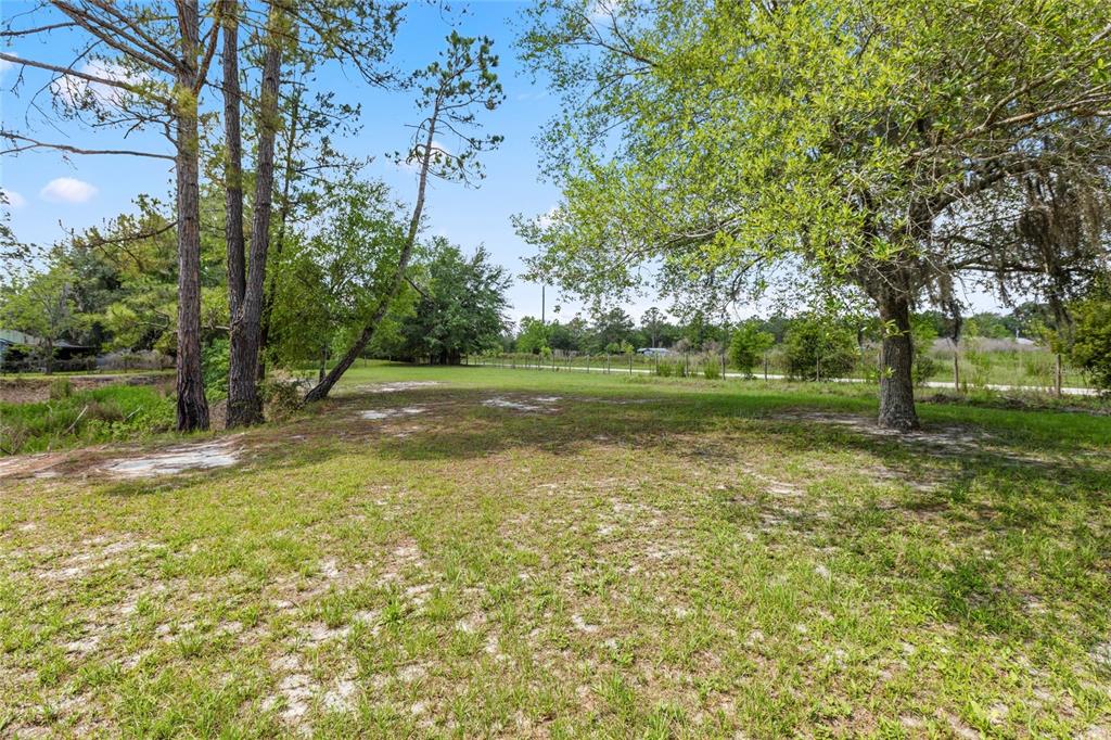 A grassy, partially wooded lot features scattered trees and a wire fence in the background — 11115 SW 105TH STREET, BROOKER, FL