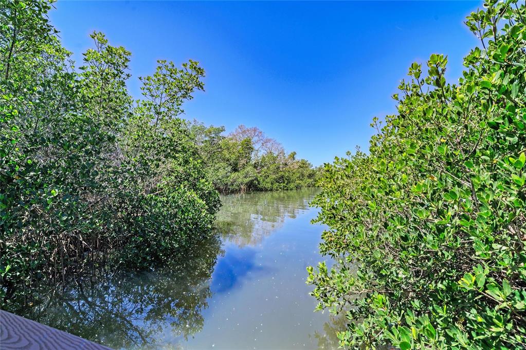 A narrow waterway flows between dense green mangrove trees under a clear blue sky — 5611 US HIGHWAY 19, PALMETTO, FL