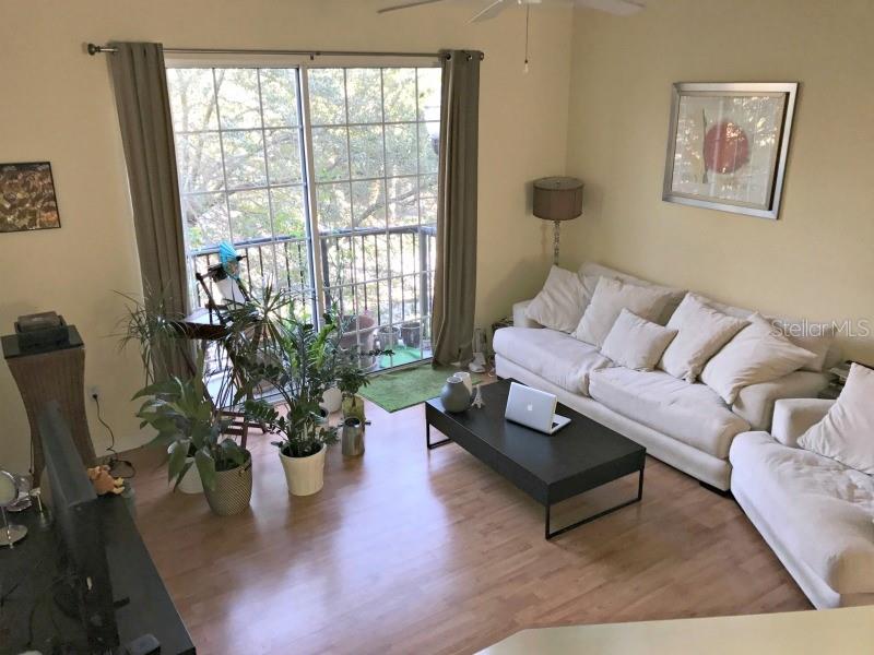 A living room features a white sofa, a black coffee table, and several potted plants — 105 S SHERRILL STREET, TAMPA, FL