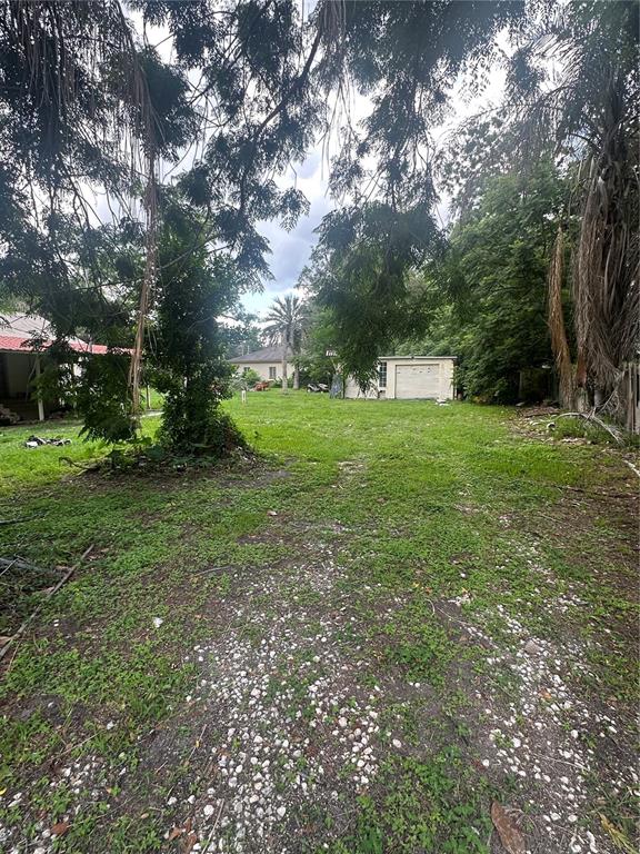 A grassy backyard features a detached garage, scattered trees, and a gravel path — 237 BROAD STREET, MASARYKTOWN, FL