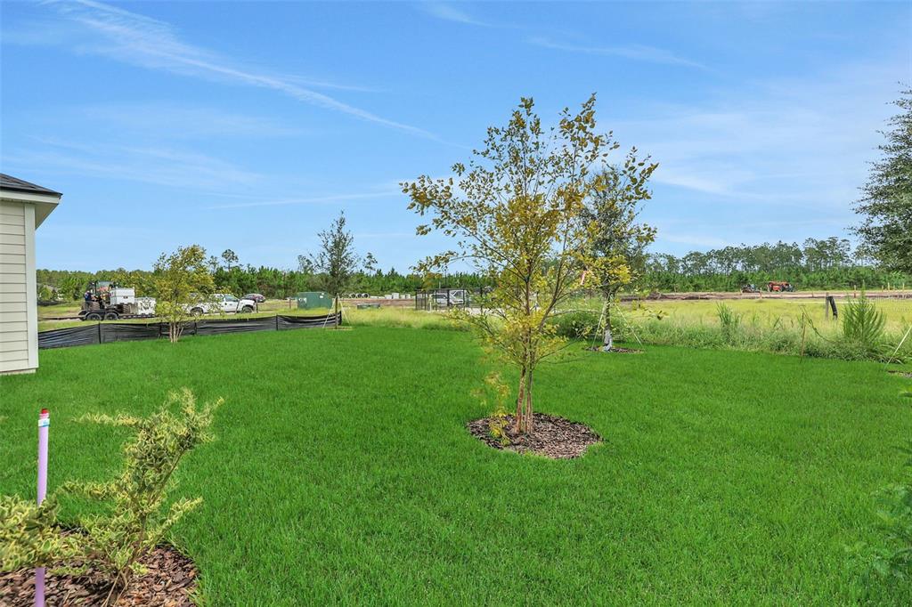 A grassy backyard features young trees, a black silt fence, and a view of construction — 47 WINDMILL PALM WAY, PALM COAST, FL