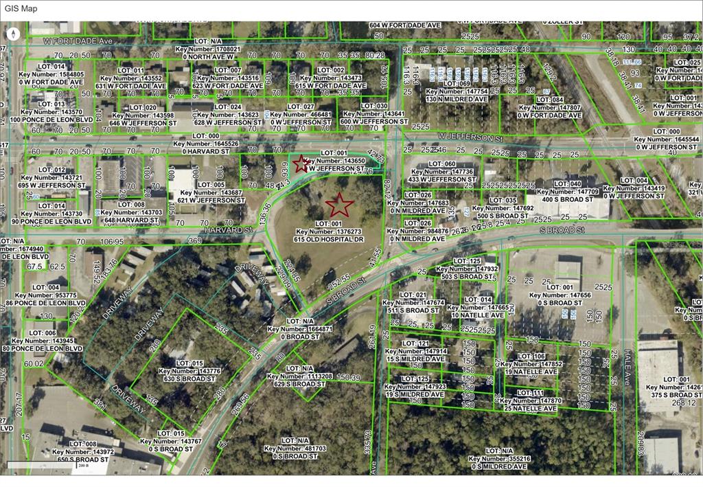 This is a GIS map showing property lot lines and parcel information overlaid on aerial imagery — 615 OLD HOSPITAL DRIVE, BROOKSVILLE, FL