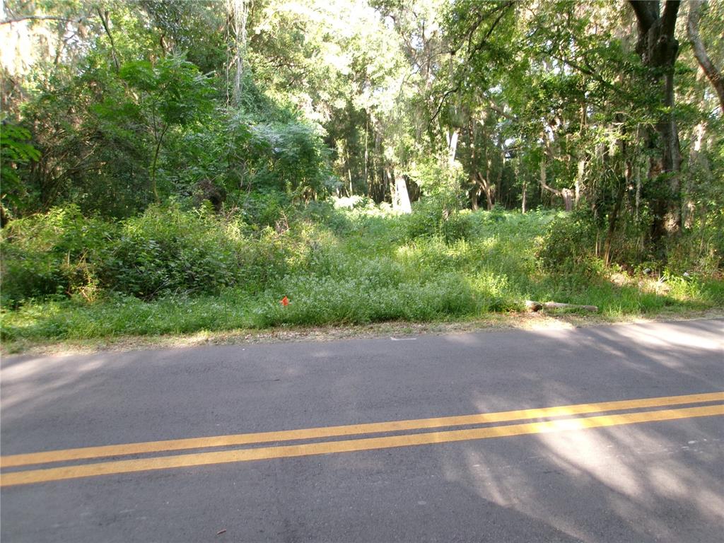 A paved road runs in front of a wooded, overgrown vacant lot — ST CLAIR STREET, WILDWOOD, FL
