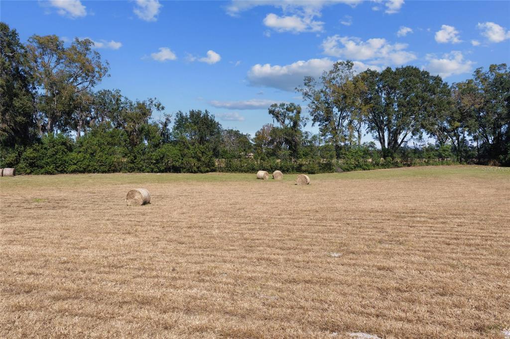 A large, dry grassy field features several round hay bales under a blue sky — TBD NE 150 STREET, TRENTON, FL