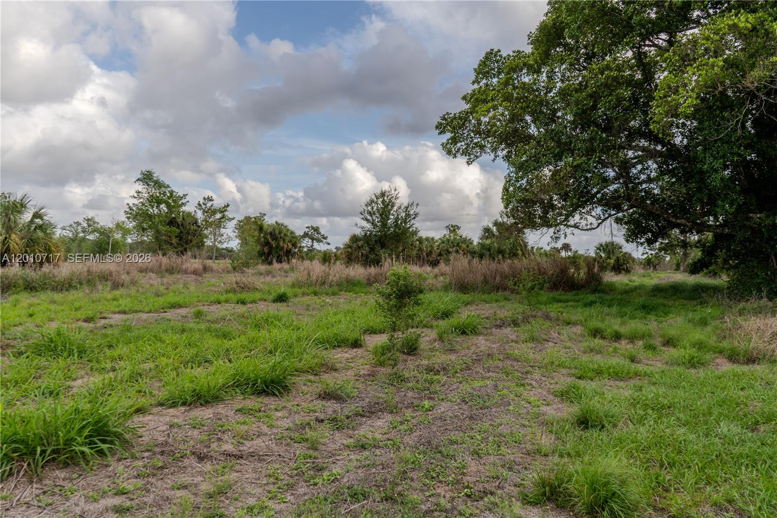A grassy, undeveloped lot features scattered trees and shrubs under a partly cloudy sky — 3921 Ft. Denaud Rd, La Belle FL 33935, LA BELLE, FL