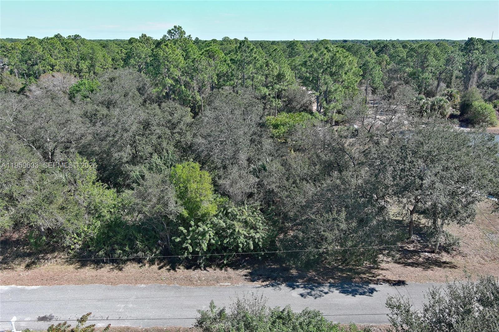 An aerial view shows a densely wooded, undeveloped lot bordering a paved road — 414 Lake Ave, Lehigh Acres FL 33972, LEHIGH ACRES, FL