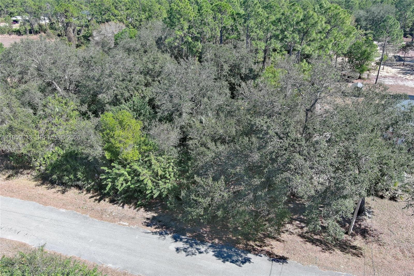 An aerial view shows a wooded, undeveloped plot of land adjacent to a paved road — 414 Lake Ave, Lehigh Acres FL 33972, LEHIGH ACRES, FL