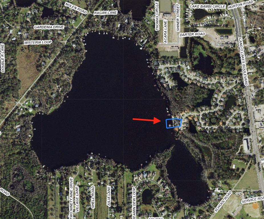 This is an aerial map view of a lake with a property highlighted in blue — 5643 WHITE IBIS LANE, LAND O LAKES, FL