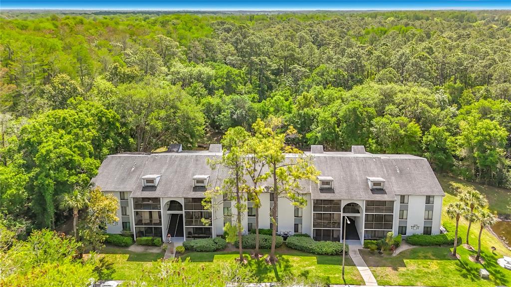 An aerial view of a three-story apartment building surrounded by dense green trees — 1372 PINE RIDGE CIRCLE E UNIT H3, TARPON SPRINGS, FL