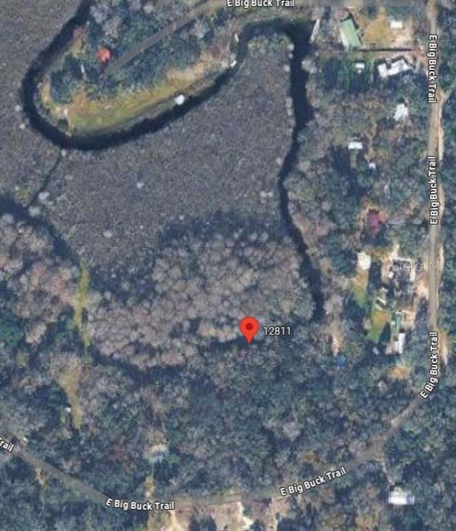 This is a satellite map view of a wooded lot bordered by a curved road — 12811 E BIG BUCK TRAIL, FLORAL CITY, FL