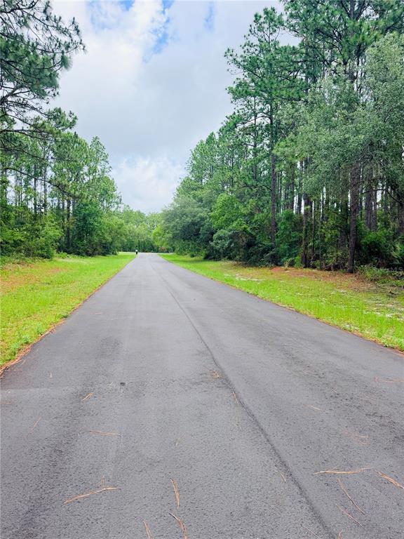 A paved road stretches through a wooded area with grassy shoulders under a cloudy sky — 13873 SW 80TH COURT, OCALA, FL