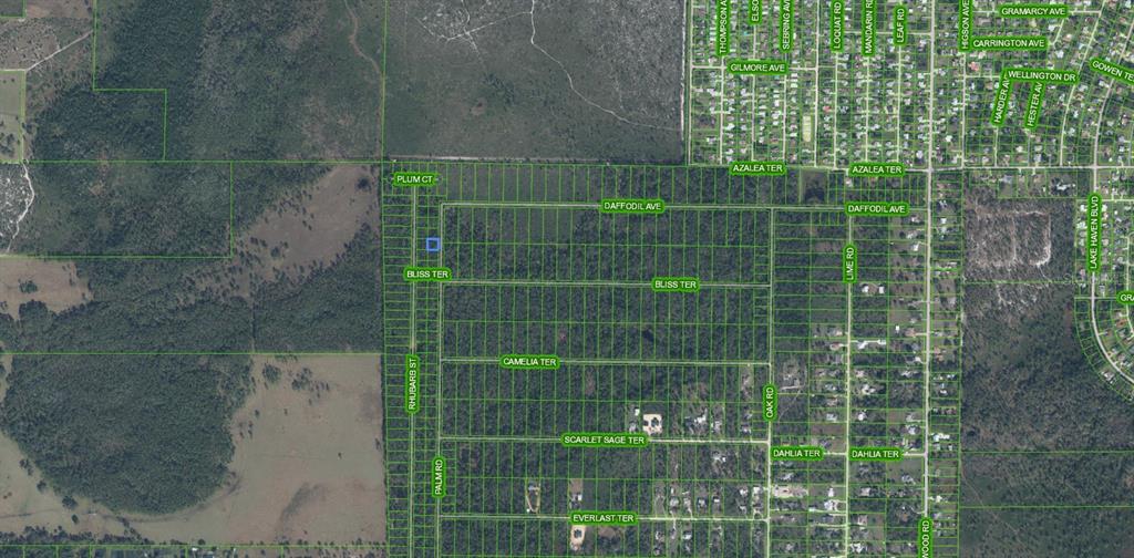 This is an aerial map showing a highlighted parcel of land within a grid of streets — 4817 PALM ROAD, SEBRING, FL