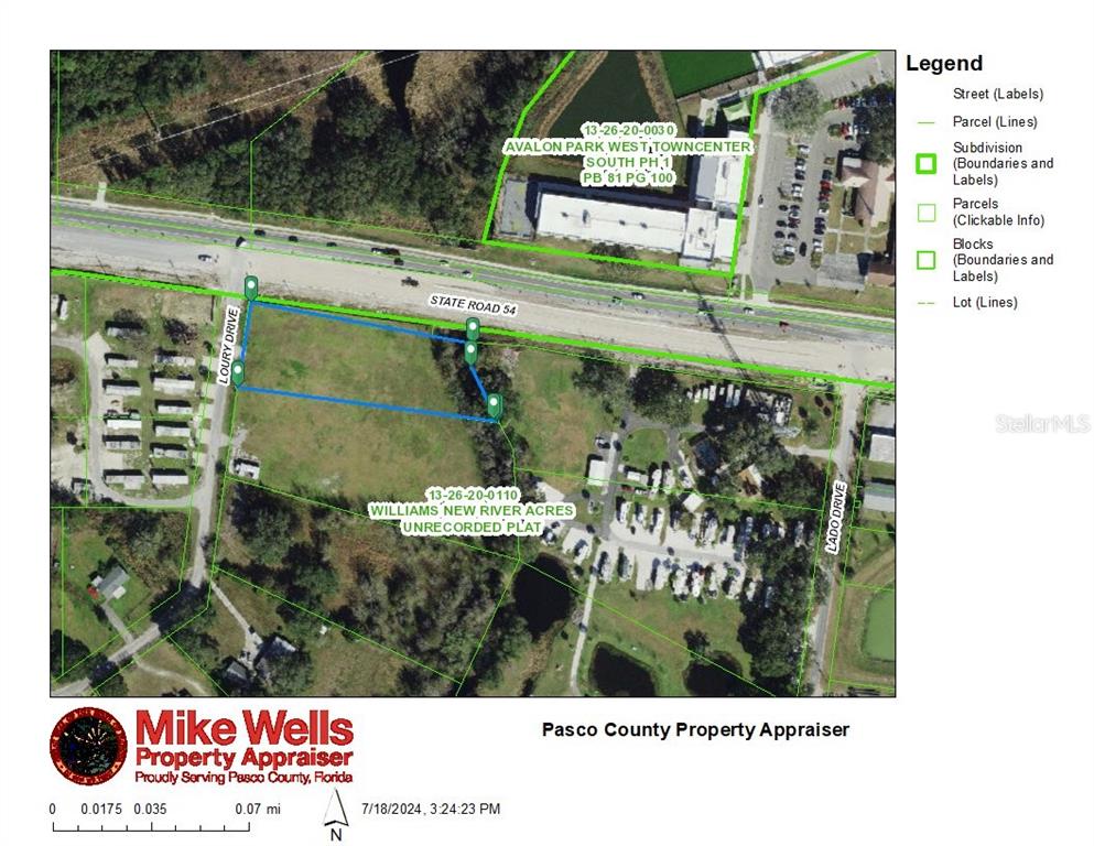 This is a property appraiser map showing land parcels along State Road 54 — 4240 LOURY DRIVE, WESLEY CHAPEL, FL