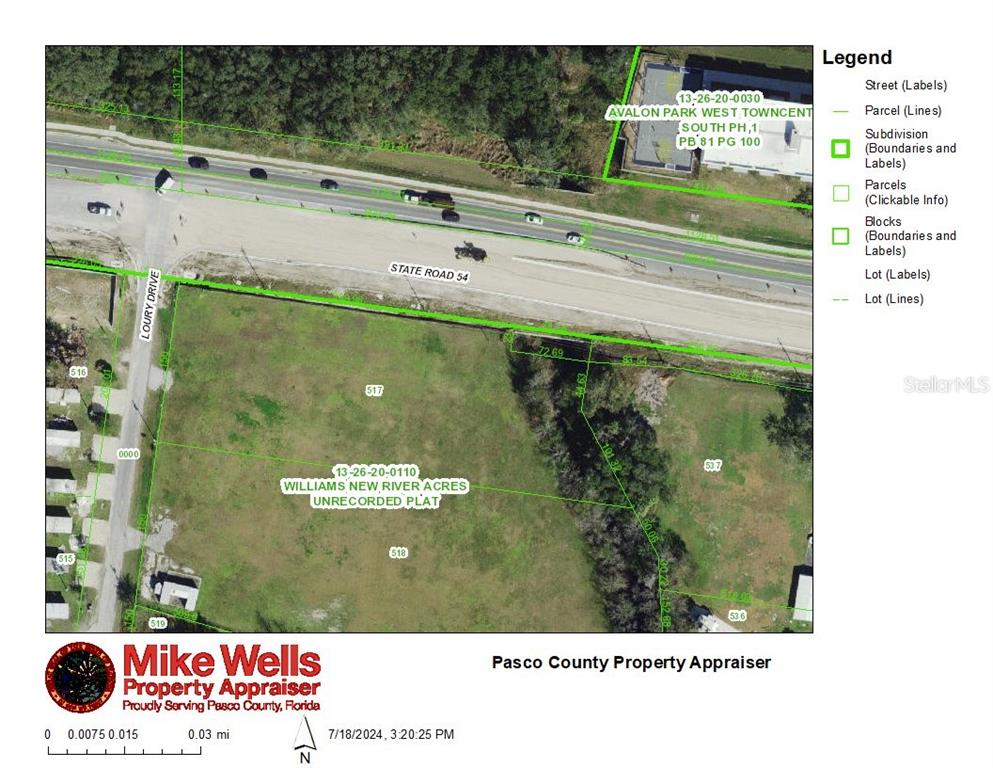 This is a property appraiser map showing a parcel of land along State Road 54 — 4240 LOURY DRIVE, WESLEY CHAPEL, FL