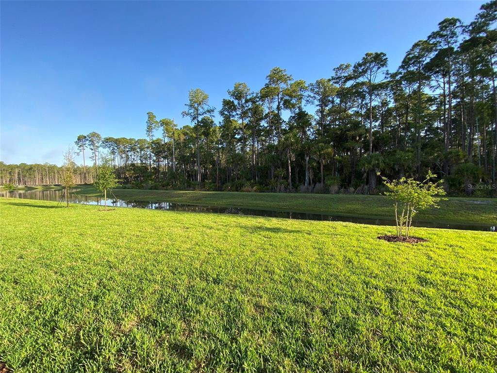 78 LONGRIDGE LANE, ORMOND BEACH, FL — photo 3 of 13