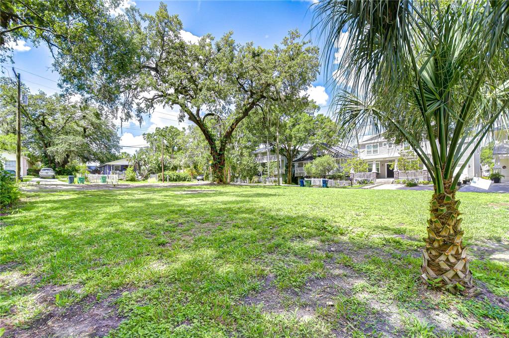 A grassy vacant lot features a large mature tree and a palm tree in front — 00 STANLEY, TAMPA, FL