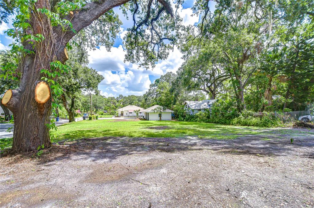 A large, grassy vacant lot features a prominent tree in the foreground and neighboring houses — 00 STANLEY, TAMPA, FL