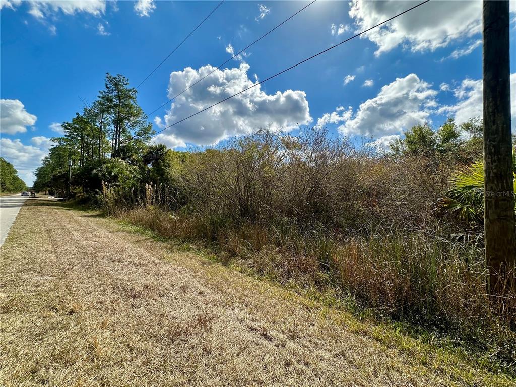 A view of a vacant, overgrown lot alongside a paved road under a cloudy sky — 4340 16TH AVENUE SE, NAPLES, FL