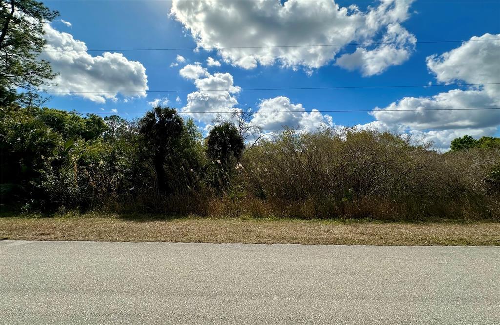A view of a vacant, overgrown lot bordered by a paved road and trees — 4340 16TH AVENUE SE, NAPLES, FL