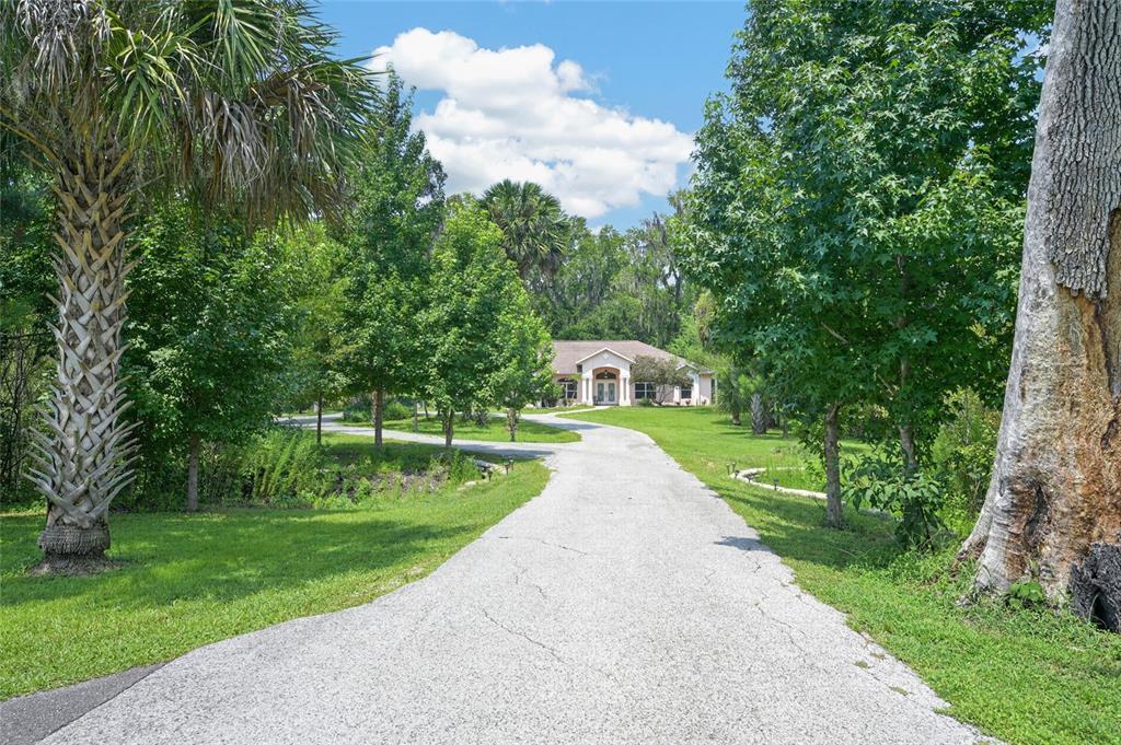 A long, cracked asphalt driveway leads to a single-story house surrounded by lush green trees — 19040 NW 88TH AVENUE ROAD, REDDICK, FL