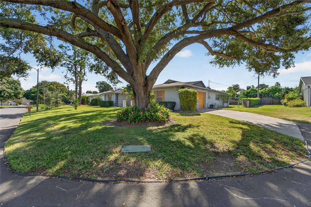 A large oak tree stands in the front yard of a single-story house with a driveway — 1909 KIMBALL COURT S, LAKELAND, FL