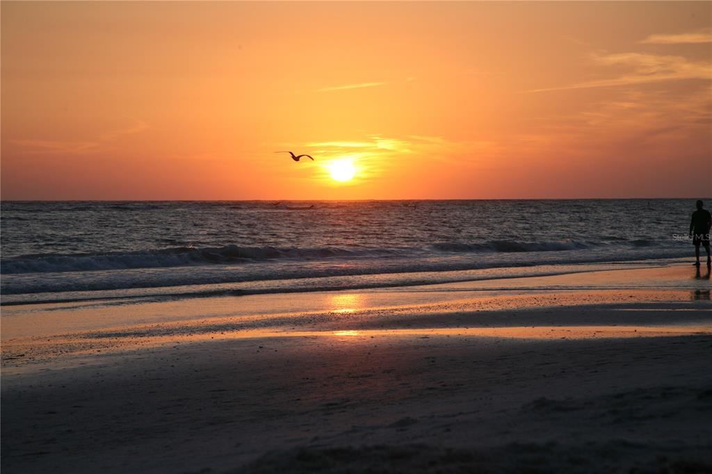A silhouette of a person stands on a sandy beach during a vibrant orange sunset — 116 AVENIDA LA PALMA, NOKOMIS, FL