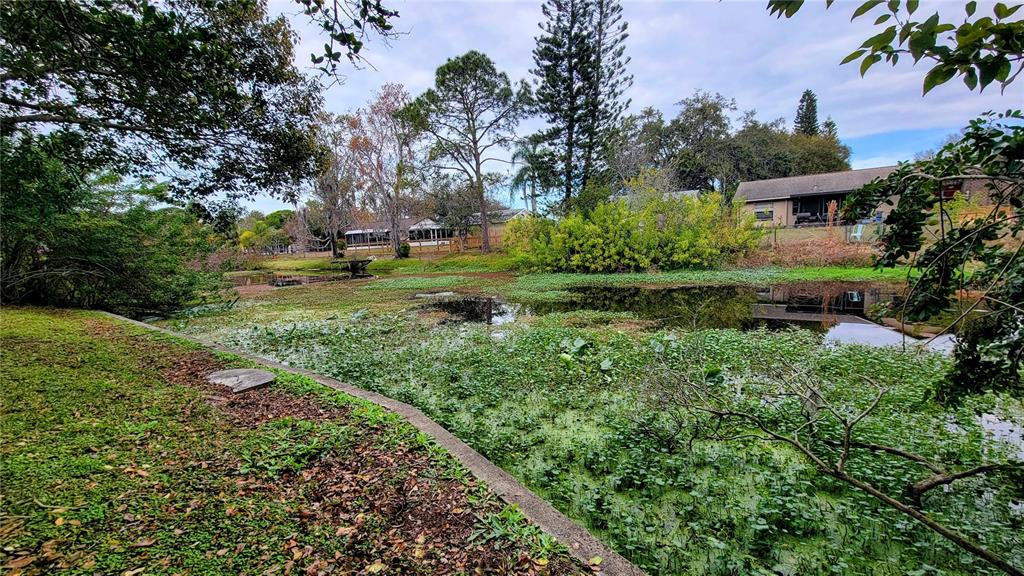 A view of a pond covered in aquatic vegetation behind a residential backyard — 7051 WENTWORTH WAY, NEW PORT RICHEY, FL