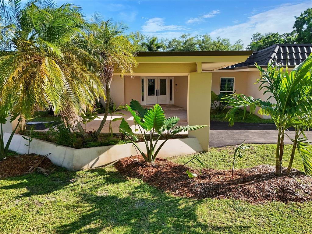 The exterior of a single-story house features a covered entryway, palm trees, and landscaping — 1875 BELLEAIR ROAD, CLEARWATER, FL