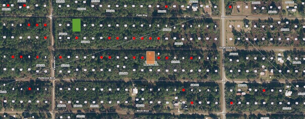 This is a satellite map showing a grid of undeveloped residential land lots and streets — 423 DOGWOOD AVENUE, GEORGETOWN, FL