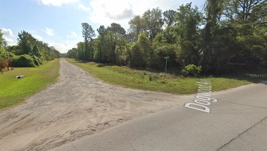 A dirt road intersects with a paved street lined with trees and vegetation — 423 DOGWOOD AVENUE, GEORGETOWN, FL