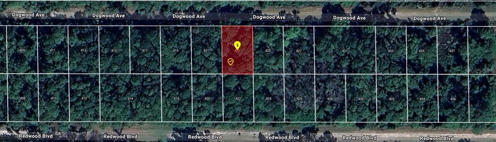 This is an aerial map showing a highlighted rectangular land parcel between two streets — 423 DOGWOOD AVENUE, GEORGETOWN, FL