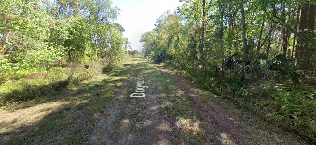 A dirt path leads through a wooded area with dense trees and vegetation on both sides — 423 DOGWOOD AVENUE, GEORGETOWN, FL