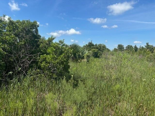 A grassy field with scattered shrubs and trees under a bright blue sky — 0 NW 310th Street, Okeechobee FL 34972, OKEECHOBEE, FL