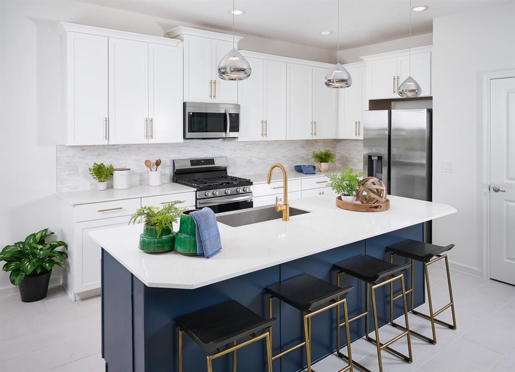 2248 SIRENA LANE, MOUNT DORA, FL — photo 2 of 12