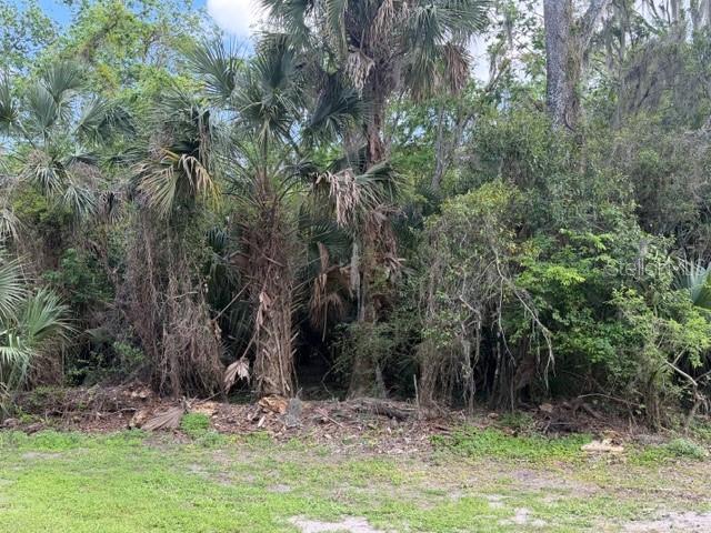 CR 234, MICANOPY, FL — photo 5 of 5