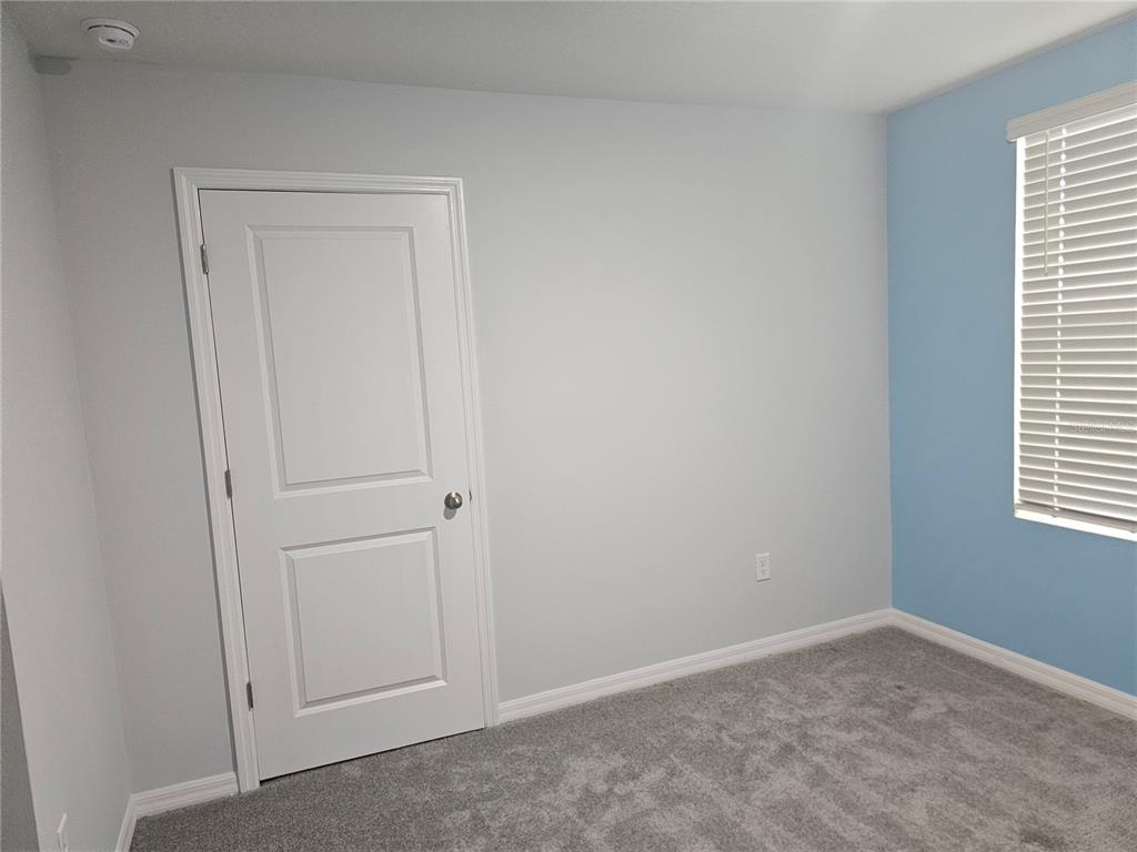 A bedroom features gray carpet, light gray walls, a white door, and a blue accent wall — 10116 CHARLOTTE DRIVE, PARRISH, FL