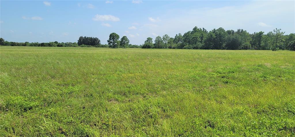 A wide, grassy field under a blue sky with scattered trees in the distance — 12098 & 12106 SALITPA COURT, PLACIDA, FL